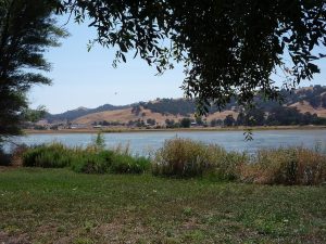 Vacaville Parks Worth Visiting for a Relaxing Afternoon